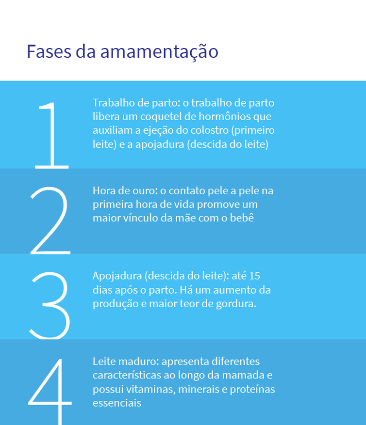Fases da amamentação - Reprodução/Daniel Dresch/ Arte Agência Brasil